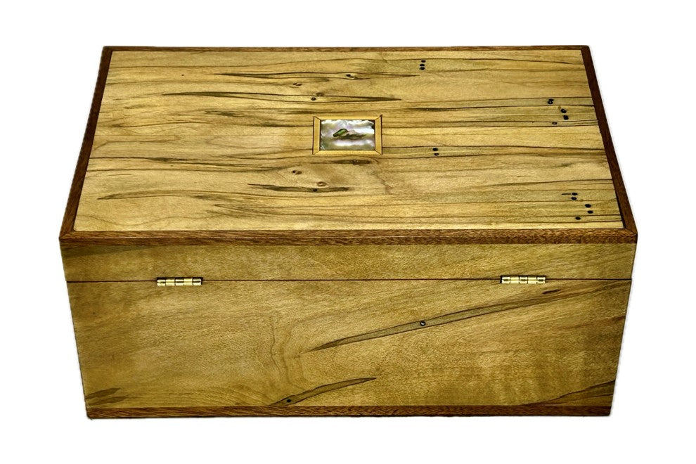 Ambrosia Maple - Medium (B1-023)