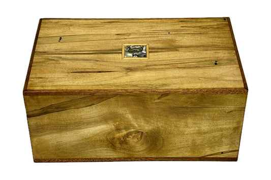 Ambrosia Maple - Medium (B1-024)