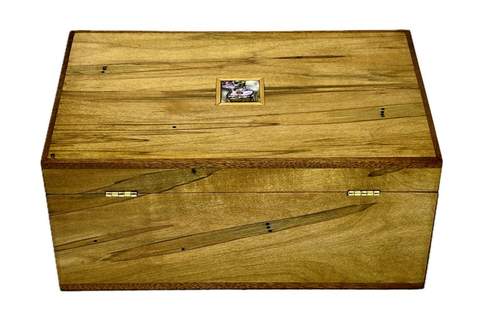 Ambrosia Maple - Medium (B1-024)