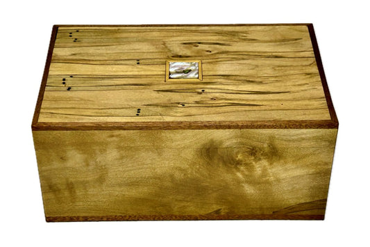 Ambrosia Maple - Medium (B1-023)