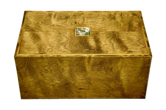 Yellow Birch - Medium (B1-021)